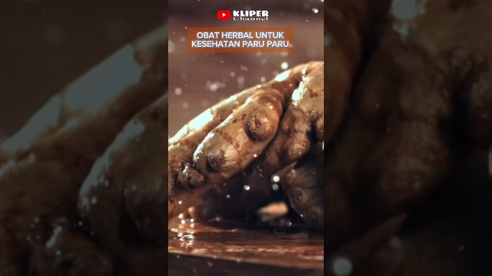 detoks alami herbal nusantara 