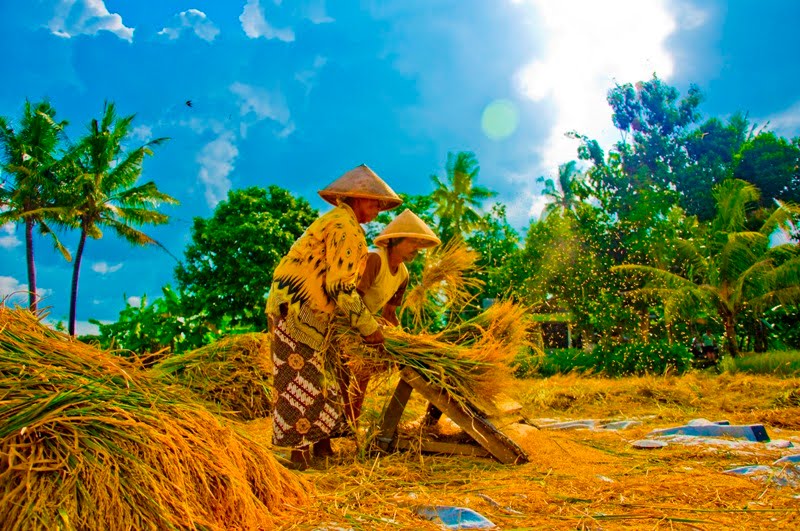 gaya hidup zaman sekarang kesehatan tradisional 