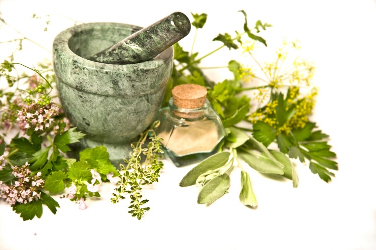 herbal nusantara hidup panjang 
