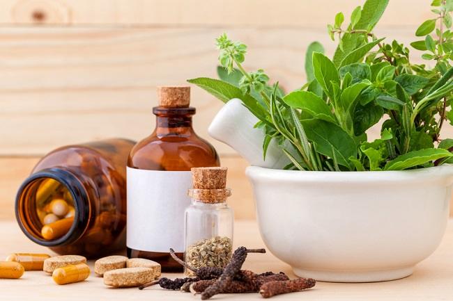 herbal nusantara hidup selaras alam 