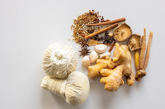 herbal nusantara hidup selaras alam 