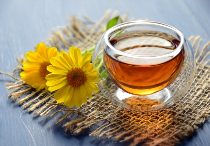 herbal nusantara meditasi harian 