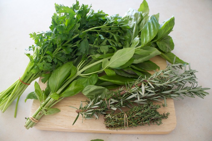 herbal nusantara meditasi harian 