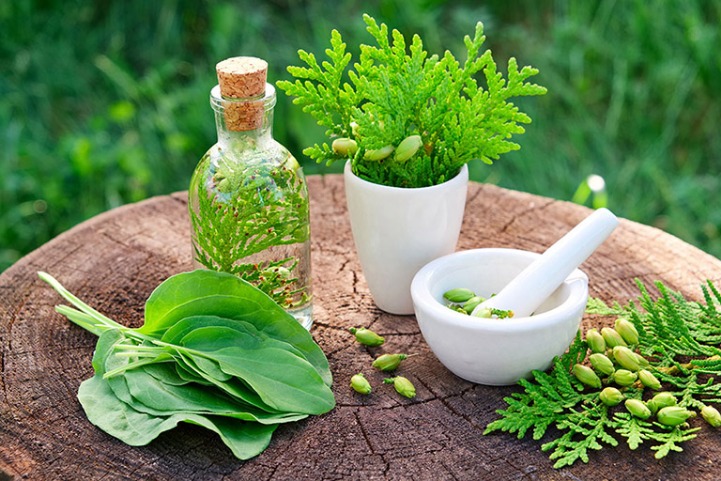 herbal nusantara meditasi harian 