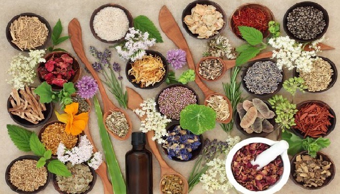 herbal nusantara pengobatan kuno 