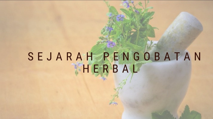 herbal nusantara pengobatan kuno 