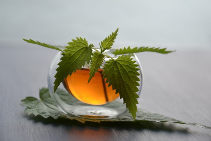 herbal nusantara rahasia umur panjang 